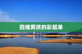 四维男孩的彩超单，怎么从四维检查单看出是男孩还是女孩