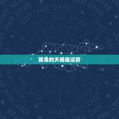 属兔的天蝎座运势，属兔 天蝎座今日运势