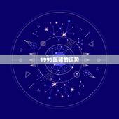 1995属猪的运势，1995年属猪的射手座2013年运势如何
