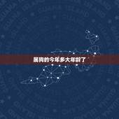 属狗的今年多大年龄了，属兔的今年多大2022 年