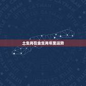 土生肖在金生肖年里运势，有谁知道2011年兔年生肖运势运程？