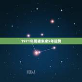 1971年属猪未来5年运势，1971年属猪2021年运势及运程？