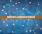 属猴的和什么属相适合合伙做生意，属猴和属猴的可以合伙食做生意好吗