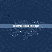 属鼠的最佳配偶是什么呢，属鼠男1984年4月8日最佳配偶
