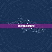 1988年属龙姻缘，1988年属龙的是什么命
