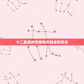 十二星座的性格特点弱点和命运，十二星座性格优缺点