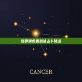 塔罗牌免费测试占卜财运，塔罗牌可以自己给自己测每天运势吗