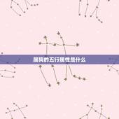 属狗的五行属性是什么，金和水相生还是相克