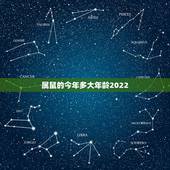 属鼠的今年多大年龄2022，十二生肖更佳婚配表