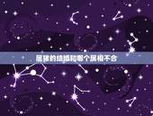 属猪的结婚和哪个属相不合，属猪的女孩不能和什么属相的结婚？