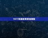 1977年属蛇男更佳婚配，属蛇男1977年命运详解