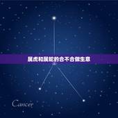 属虎和属蛇的合不合做生意，属虎和属蛇的婚配好不好