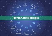 甲子和乙丑可以做夫妻吗，六十甲子表口诀