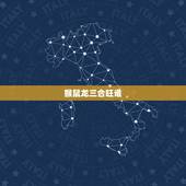 猴鼠龙三合旺谁，鼠龙猴三合什么意思