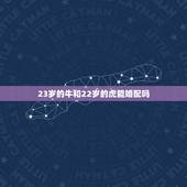23岁的牛和22岁的虎能婚配吗，属牛与属虎的婚配吗？
