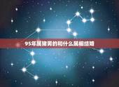 95年属猪男的和什么属相结婚，95年属猪男的和什么属相最配