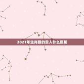 2021年生肖猴的贵人什么属相，2021年会帮助天蝎座贵人会是哪个星座