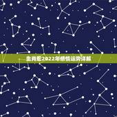 生肖蛇2022年感情运势详解，12生肖运势2022 年运势详解势详解