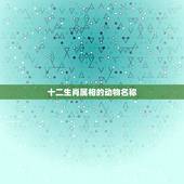 十二生肖属相的动物名称，十二生肖动物名称成语