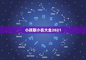 小孩取小名大全2021，2021年男宝宝起名字大全寓意好