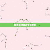 猪肖男和猪肖女婚配吗，男方属猪的和女方什么生肖是最合适的，请各位指点