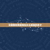 女属猴和男属狗生什么属相的孩子，女属猴（80.12.14）男属狗（82