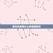 属羊的要跟什么属相婚配呀，属羊的属相婚配表 属羊的适合和什么属相相配