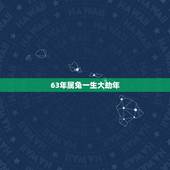 63年属兔一生大劫年，生肖兔命中有两大贵人