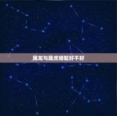 属龙与属虎婚配好不好，98属虎男和00属龙女