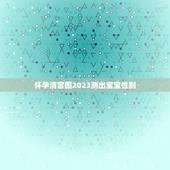 怀孕清宫图2023测出宝宝性别，2023的清宫图生男生女准吗