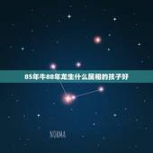 85年牛88年龙生什么属相的孩子好，老公85年牛，我88年龙，女儿12