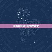 属羊男念念不忘的生肖女，生肖猴2022 年运势