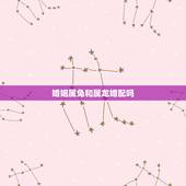 婚姻属兔和属龙婚配吗，属兔与属龙相配吗