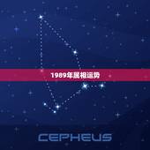 1989年属相运势，1989年二月十五上午12点属蛇人2010年运程