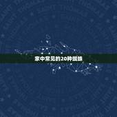 家中常见的20种蜘蛛 农村常见的大蜘蛛