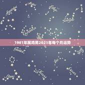 1981年属鸡男2021年每个月运势，1981年属鸡人2021年的命运