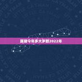 属猪今年多大岁数2022年，2022 生肖表图片高清