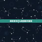 属蛇龙与什么属相配对最佳，属龙和属蛇相配吗？可以吗？