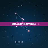 属牛人2021年的生肖贵人，能给属马能给属牛人带来财运的属相&amp;#8217;