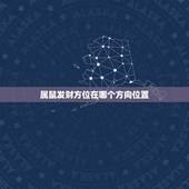 属鼠发财方位在哪个方向位置，坐北朝南的房子大门应开哪个方向
