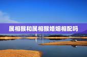 属相猴和属相猴婚姻相配吗，属猴的生肖婚配表 属猴的和什么属相最配？