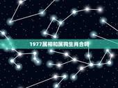 1977属相和属狗生肖合吗，属狗的生肖要和什么生肖才相合，和龙合会怎样