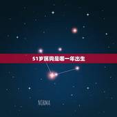 51岁属狗是哪一年出生，51岁是哪年出生