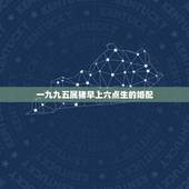 一九九五属猪早上六点生的婚配，95年属猪的早上6点半生人好么