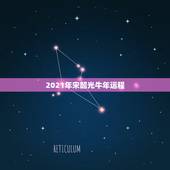 2021年宋韶光牛年运程，宋韶光2021年十二生肖运程