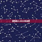 属狗的人2022年运势，属狗人2022年每月运势？