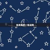 生肖兔的一生运势，生肖兔运势？