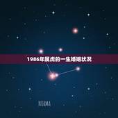 1986年属虎的一生婚姻状况，1986年属虎的人，今年婚姻有什么变故