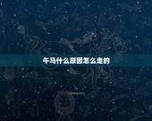 午马什么原因怎么走的，午马是什么走的
