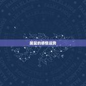 属鼠的感情运势，72年12月28日出生的属鼠人的感情运势
